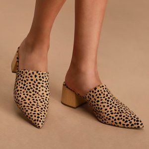 STEVEN by Steve Madden Women's Fannie-c Mule Cheetah size 6 NIB